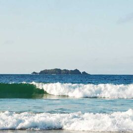 Waves Surf School Cornwall - Surf Lessons Harlyn